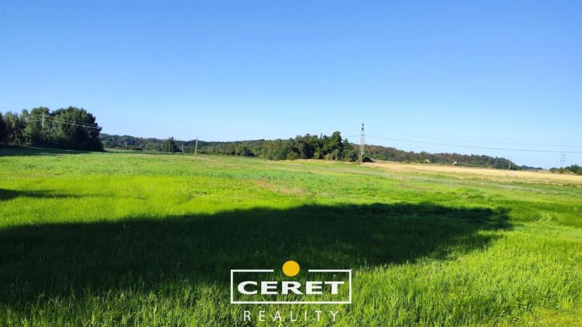 Prodej pole, Staňkovice - Tvršice, 45996 m2