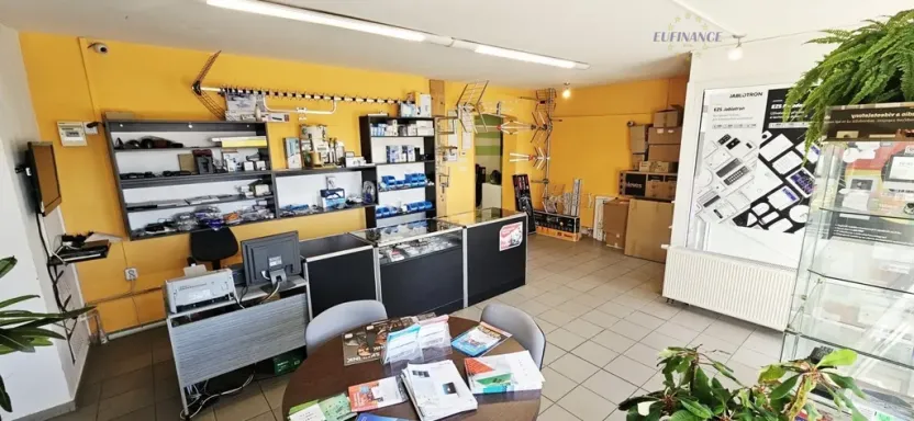 Prodej bytu 1+kk, Kralupy nad Vltavou, Přemyslova, 133 m2