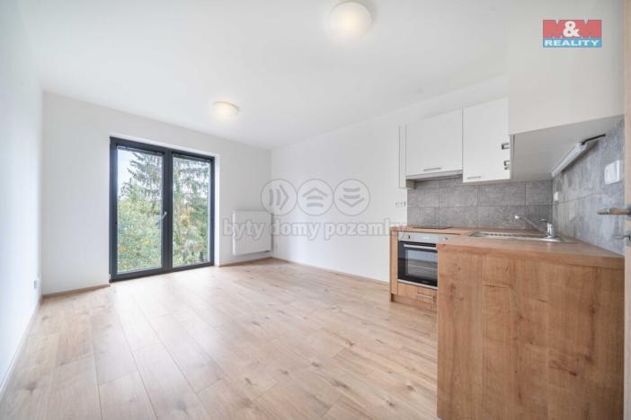 Pronájem bytu 1+kk, Třemošná, Školní, 32 m2