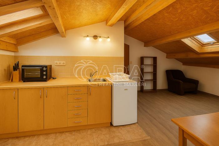 Pronájem bytu 1+kk, Ledenice, 20 m2
