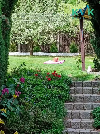 Prodej rodinného domu, Krupka, Na Vyhlídce, 220 m2