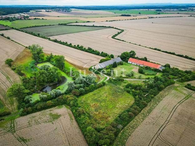 Prodej zemědělské usedlosti, Běrunice, 600 m2