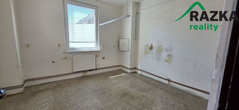 Pronájem výrobních prostor, Planá, Plzeňská, 249 m2