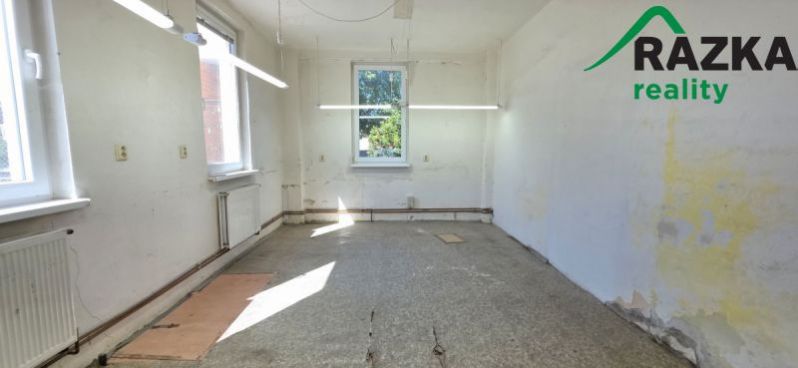 Pronájem výrobních prostor, Planá, Plzeňská, 249 m2