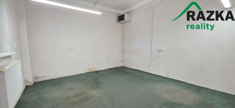 Pronájem výrobních prostor, Planá, Plzeňská, 249 m2
