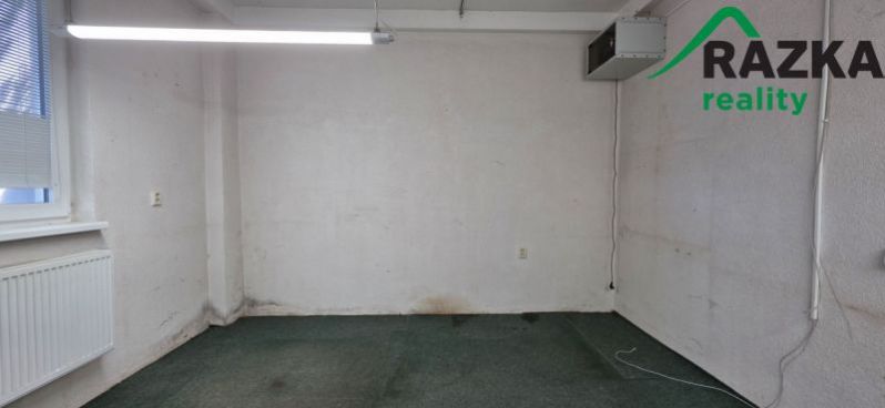 Pronájem výrobních prostor, Planá, Plzeňská, 249 m2