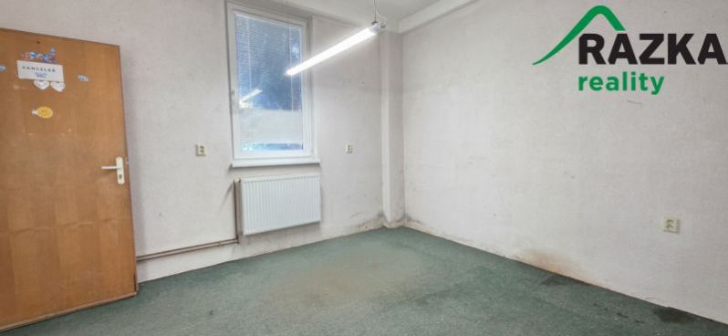 Pronájem výrobních prostor, Planá, Plzeňská, 249 m2