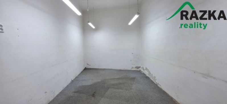 Pronájem výrobních prostor, Planá, Plzeňská, 249 m2