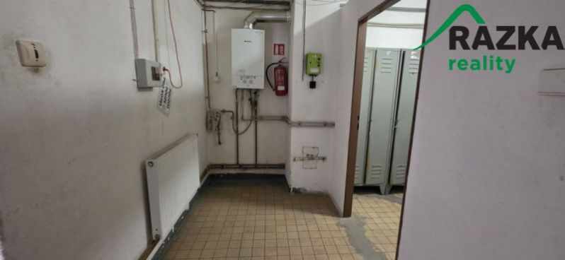 Pronájem výrobních prostor, Planá, Plzeňská, 249 m2