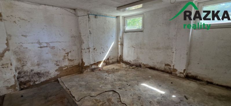 Pronájem výrobních prostor, Planá, Plzeňská, 249 m2