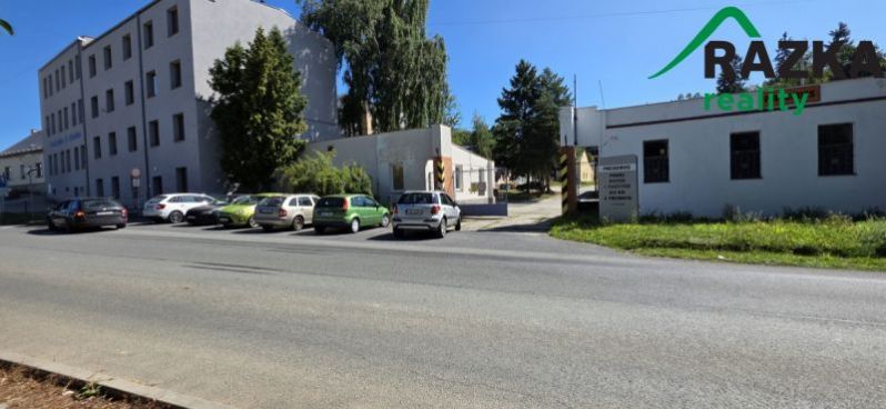 Pronájem výrobních prostor, Planá, Plzeňská, 249 m2