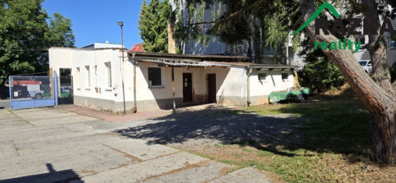 Pronájem výrobních prostor, Planá, Plzeňská, 249 m2