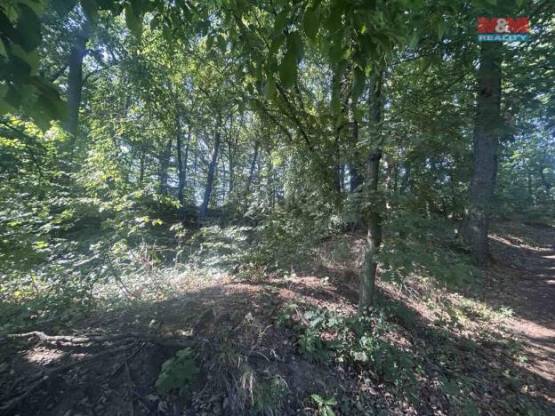 Prodej lesa, Vysoká Pec - Drmaly, 4812 m2