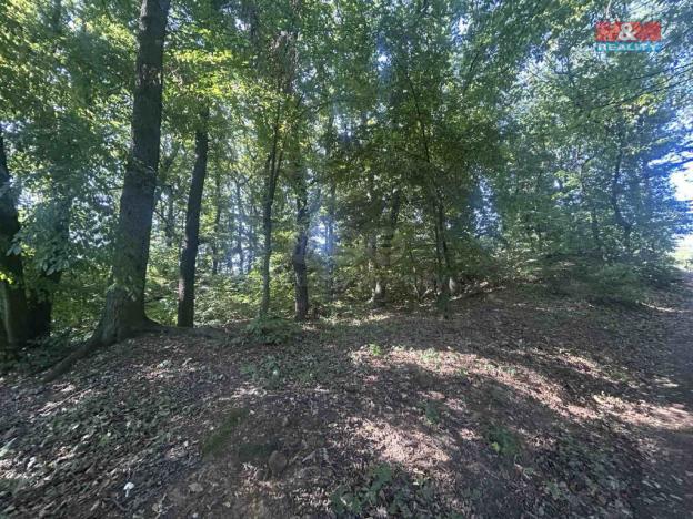 Prodej lesa, Vysoká Pec - Drmaly, 4812 m2