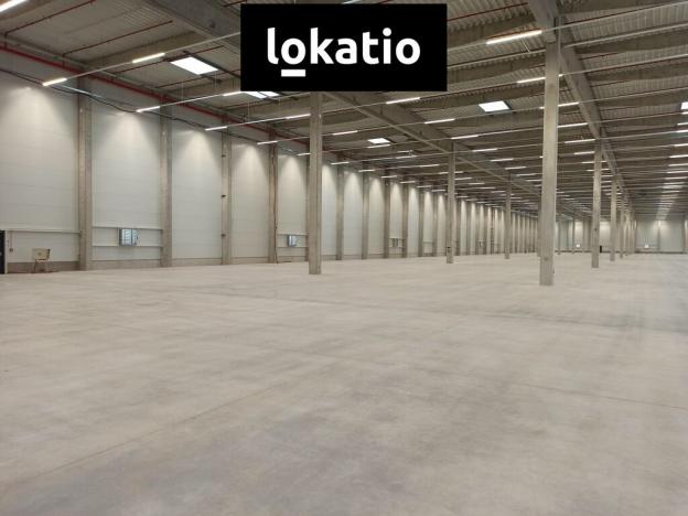 Pronájem skladu, Pardubice - Rosice, 2600 m2