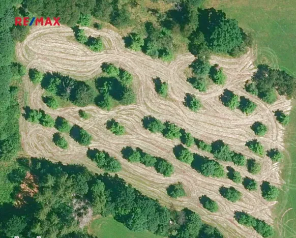 Prodej sadu/vinice, Miloňovice, 18431 m2