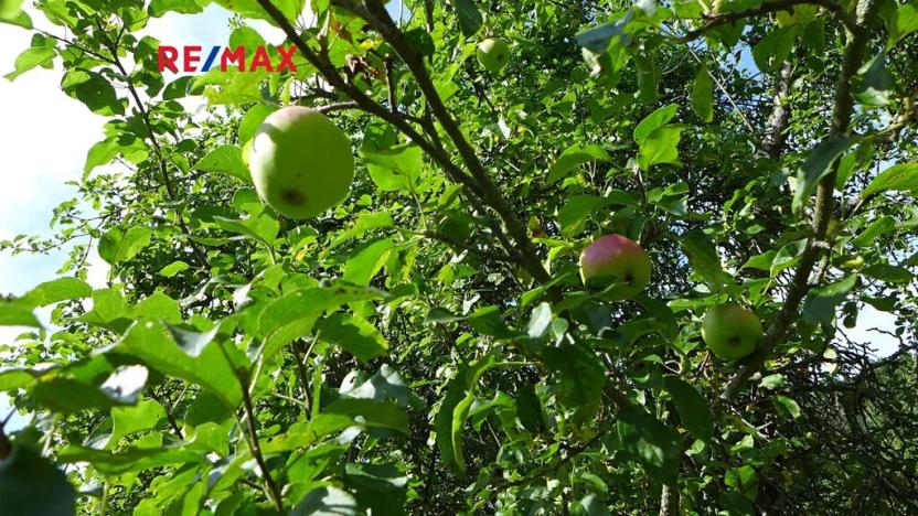 Prodej sadu/vinice, Miloňovice, 18431 m2