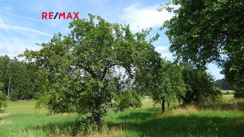 Prodej sadu/vinice, Miloňovice, 18431 m2