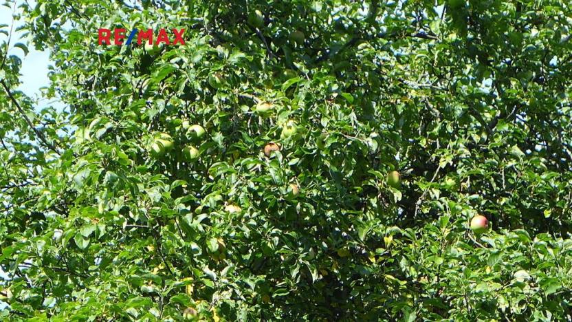 Prodej sadu/vinice, Miloňovice, 18431 m2