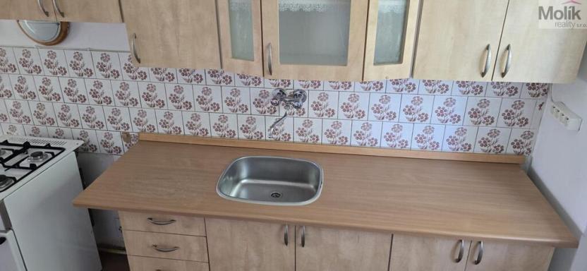 Prodej bytu 2+1, Litvínov - Horní Litvínov, K Loučkám, 69 m2