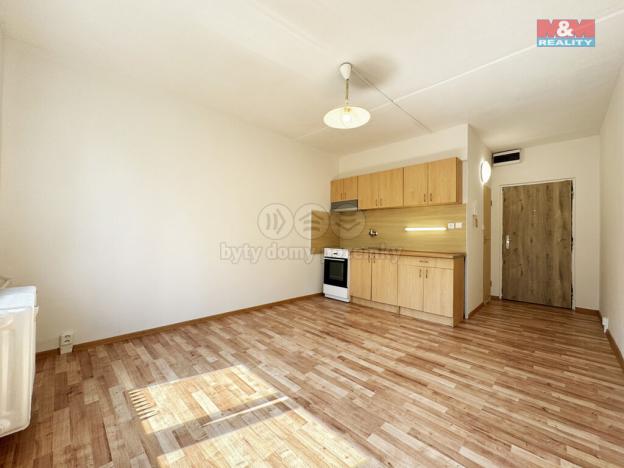 Pronájem bytu 1+kk, Karlovy Vary - Drahovice, Východní, 20 m2