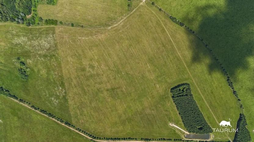 Prodej louky, Chudenín, 139968 m2