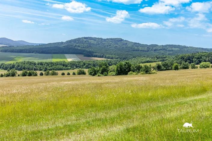 Prodej louky, Chudenín, 139968 m2