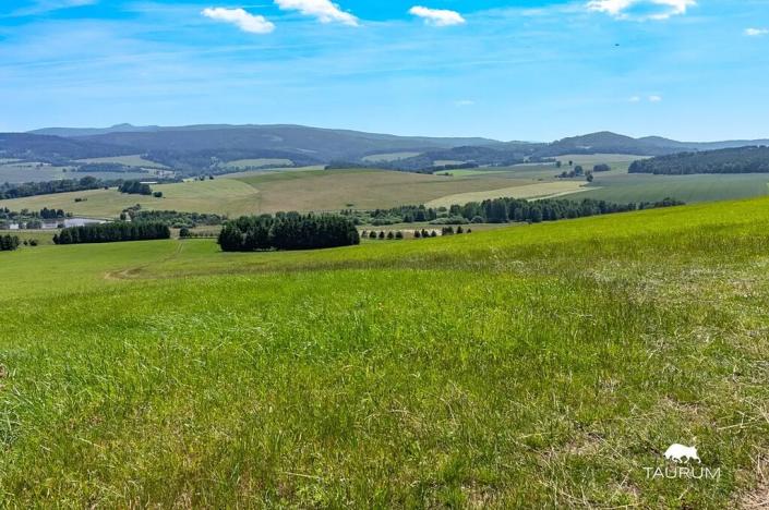 Prodej louky, Chudenín, 139968 m2