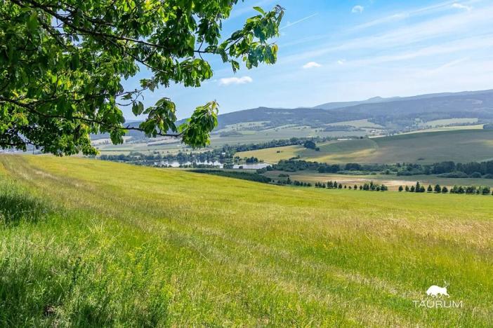 Prodej louky, Chudenín, 139968 m2