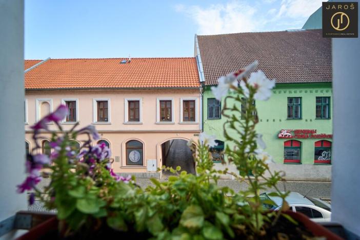 Prodej ubytování, Žatec, Oblouková, 409 m2