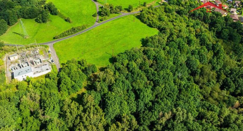 Prodej louky, Ústí nad Labem - Neštěmice, Zelená, 10041 m2