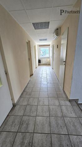 Pronájem bytu 5+1, Opava - Předměstí, Sadová, 99 m2