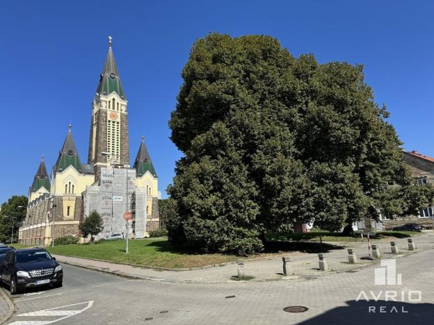 Prodej obchodního prostoru, Brno - Husovice, Vranovská, 144 m2