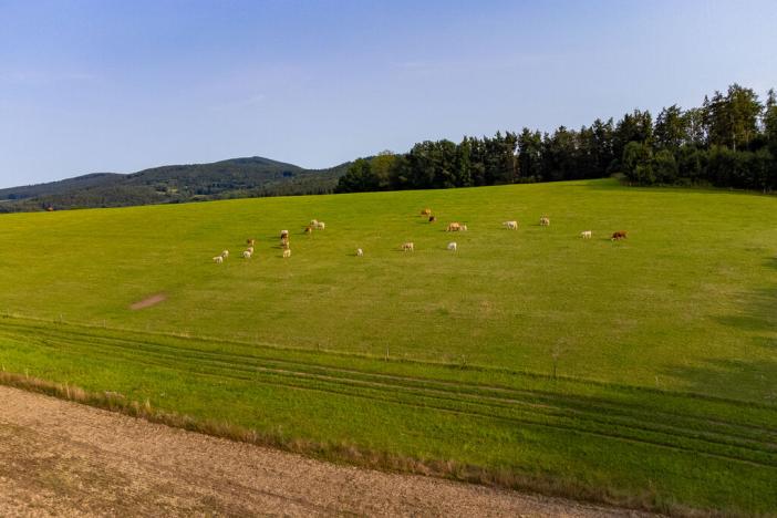 Prodej rodinného domu, Dešenice, 146 m2