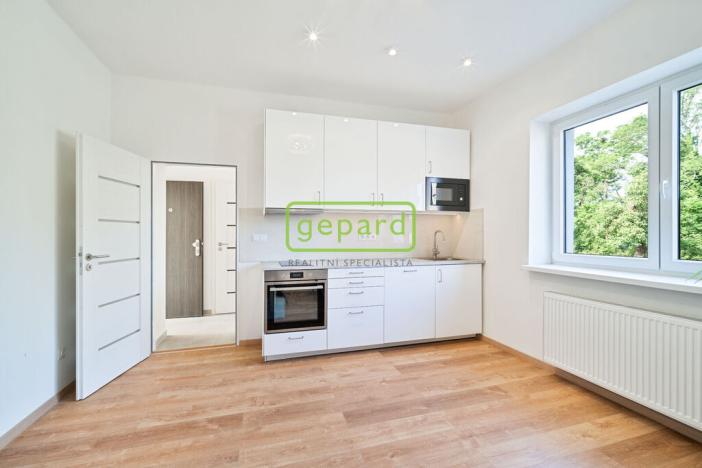 Pronájem bytu 1+kk, Libice nad Cidlinou, Mánesova, 27 m2