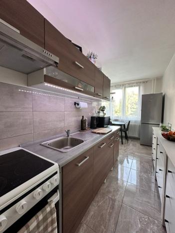 Pronájem bytu 1+1, Děčín - Děčín VI-Letná, 44 m2