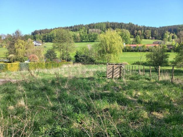 Prodej pozemku, Chudenín - Skelná Huť, 1205 m2