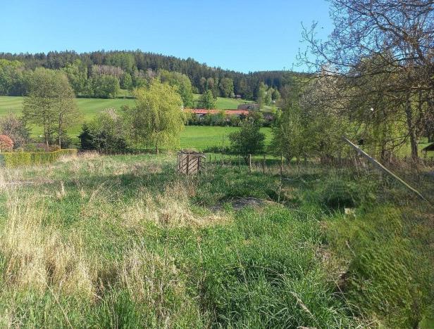 Prodej pozemku, Chudenín - Skelná Huť, 1205 m2