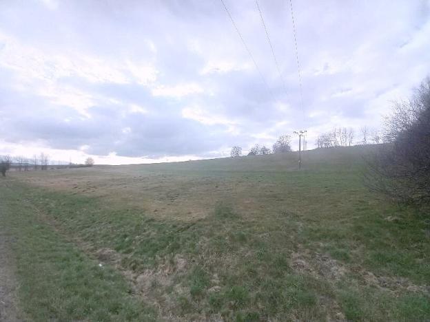 Prodej pole, Všeruby, 1481 m2