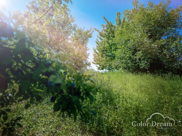 Prodej pozemku pro bydlení, Moravské Málkovice, 593 m2