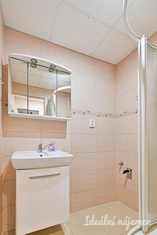 Pronájem bytu 2+1, Břeclav, J. Palacha, 48 m2