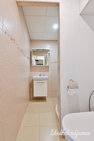 Pronájem bytu 2+1, Břeclav, J. Palacha, 48 m2