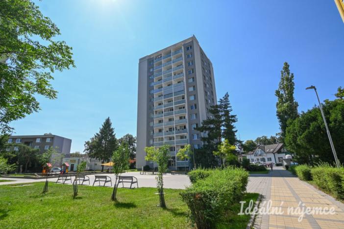 Pronájem bytu 2+1, Břeclav, J. Palacha, 48 m2