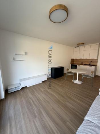 Pronájem bytu 1+kk, Ostrava - Slezská Ostrava, U Hájenky, 34 m2