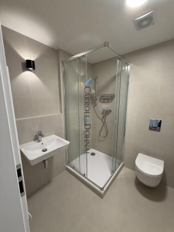 Pronájem bytu 1+kk, Ostrava - Slezská Ostrava, U Hájenky, 34 m2