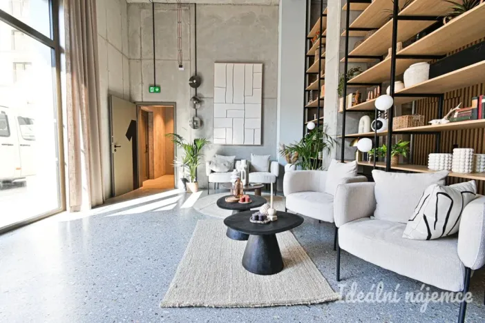Pronájem bytu 1+kk, Brno, Bratislavská, 35 m2