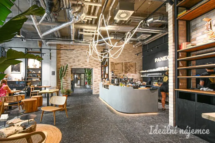 Pronájem bytu 1+kk, Brno, Bratislavská, 35 m2