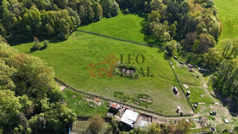 Prodej pozemku pro bydlení, Děpoltovice, 24000 m2