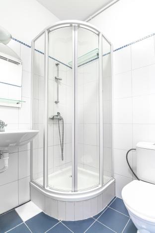 Prodej bytu 1+1, Praha - Vinohrady, Lucemburská, 56 m2