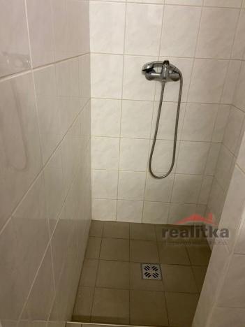 Pronájem obchodního prostoru, Opava - Předměstí, Sadová, 500 m2